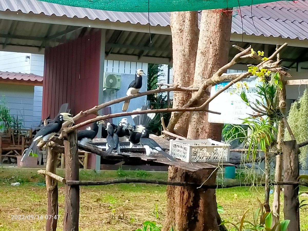 Eco Bungalow Koh Phayam Exterior foto